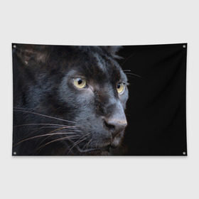 Флаг-баннер с принтом Черная пантера в Курске, 100% полиэстер | размер 67 х 109 см, плотность ткани — 95 г/м2; по краям флага есть четыре люверса для крепления | животные | кис | киска | кот | котенок | котик | кошечка | кошка | пантера | рысь | тигр | хищник