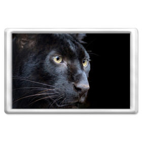 Магнит 45*70 с принтом Черная пантера в Курске, Пластик | Размер: 78*52 мм; Размер печати: 70*45 | Тематика изображения на принте: животные | кис | киска | кот | котенок | котик | кошечка | кошка | пантера | рысь | тигр | хищник
