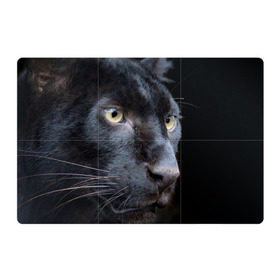 Магнитный плакат 3Х2 с принтом Черная пантера в Курске, Полимерный материал с магнитным слоем | 6 деталей размером 9*9 см | животные | кис | киска | кот | котенок | котик | кошечка | кошка | пантера | рысь | тигр | хищник