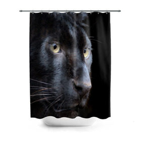 Штора 3D для ванной с принтом Черная пантера в Курске, 100% полиэстер | плотность материала — 100 г/м2. Стандартный размер — 146 см х 180 см. По верхнему краю — пластиковые люверсы для креплений. В комплекте 10 пластиковых колец | животные | кис | киска | кот | котенок | котик | кошечка | кошка | пантера | рысь | тигр | хищник
