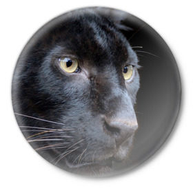 Значок с принтом Черная пантера в Курске,  металл | круглая форма, металлическая застежка в виде булавки | Тематика изображения на принте: животные | кис | киска | кот | котенок | котик | кошечка | кошка | пантера | рысь | тигр | хищник
