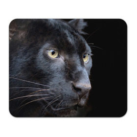 Коврик прямоугольный с принтом Черная пантера в Курске, натуральный каучук | размер 230 х 185 мм; запечатка лицевой стороны | Тематика изображения на принте: животные | кис | киска | кот | котенок | котик | кошечка | кошка | пантера | рысь | тигр | хищник