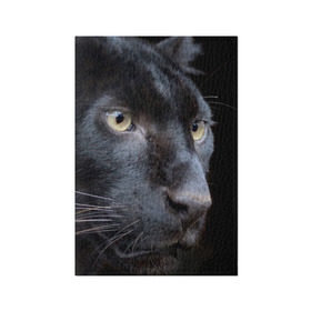 Обложка для паспорта матовая кожа с принтом Черная пантера в Курске, натуральная матовая кожа | размер 19,3 х 13,7 см; прозрачные пластиковые крепления | животные | кис | киска | кот | котенок | котик | кошечка | кошка | пантера | рысь | тигр | хищник