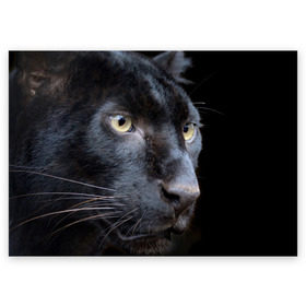 Поздравительная открытка с принтом Черная пантера в Курске, 100% бумага | плотность бумаги 280 г/м2, матовая, на обратной стороне линовка и место для марки
 | Тематика изображения на принте: животные | кис | киска | кот | котенок | котик | кошечка | кошка | пантера | рысь | тигр | хищник