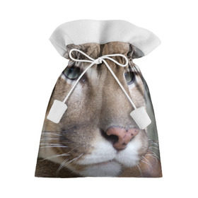 Подарочный 3D мешок с принтом Пума в Курске, 100% полиэстер | Размер: 29*39 см | Тематика изображения на принте: животные | кис | киска | кот | котенок | котик | кошечка | кошка | львиц | пантера | пума | рысь | хищник
