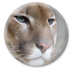 Значок с принтом Пума в Курске,  металл | круглая форма, металлическая застежка в виде булавки | животные | кис | киска | кот | котенок | котик | кошечка | кошка | львиц | пантера | пума | рысь | хищник