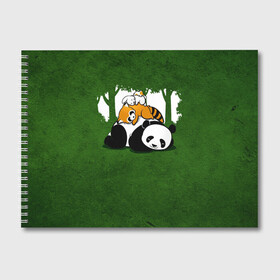Альбом для рисования с принтом Милая панда в Курске, 100% бумага
 | матовая бумага, плотность 200 мг. | большая | джунгли | енот | зайка | милая | панда | пушистая