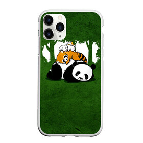 Чехол для iPhone 11 Pro матовый с принтом Милая панда в Курске, Силикон |  | большая | джунгли | енот | зайка | милая | панда | пушистая