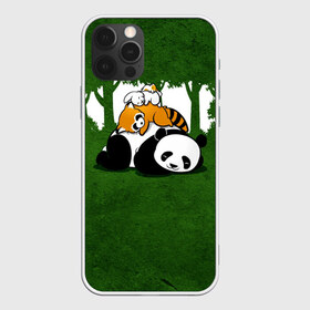 Чехол для iPhone 12 Pro Max с принтом Милая панда в Курске, Силикон |  | большая | джунгли | енот | зайка | милая | панда | пушистая