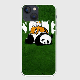 Чехол для iPhone 13 mini с принтом Милая панда в Курске,  |  | большая | джунгли | енот | зайка | милая | панда | пушистая