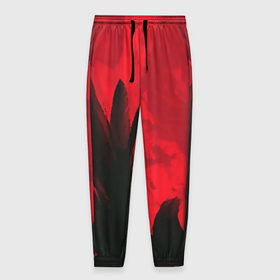 Мужские брюки 3D с принтом красное и черное в Курске, 100% полиэстер | манжеты по низу, эластичный пояс регулируется шнурком, по бокам два кармана без застежек, внутренняя часть кармана из мелкой сетки | красный | черный