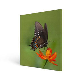 Холст квадратный с принтом Бабочка 4 в Курске, 100% ПВХ |  | бабочка | цветок