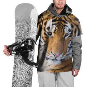 Накидка на куртку 3D с принтом Тигр в Курске, 100% полиэстер |  | амурский | животные | киса | кот | котенок | кошка | пума | рысь | серый | тигр | хищник