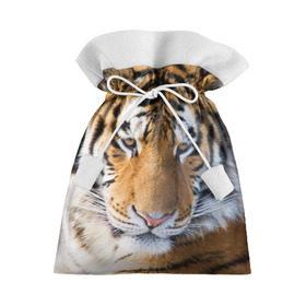 Подарочный 3D мешок с принтом Тигр в Курске, 100% полиэстер | Размер: 29*39 см | Тематика изображения на принте: амурский | животные | киса | кот | котенок | кошка | пума | рысь | серый | тигр | хищник