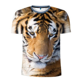 Мужская футболка 3D спортивная с принтом Тигр в Курске, 100% полиэстер с улучшенными характеристиками | приталенный силуэт, круглая горловина, широкие плечи, сужается к линии бедра | амурский | животные | киса | кот | котенок | кошка | пума | рысь | серый | тигр | хищник