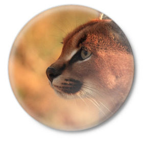 Значок с принтом Рысь в Курске,  металл | круглая форма, металлическая застежка в виде булавки | амурский | животные | киса | кот | котенок | кошка | пума | рысь | серый | тигр | хищник