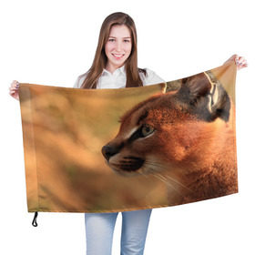 Флаг 3D с принтом Рысь в Курске, 100% полиэстер | плотность ткани — 95 г/м2, размер — 67 х 109 см. Принт наносится с одной стороны | амурский | животные | киса | кот | котенок | кошка | пума | рысь | серый | тигр | хищник