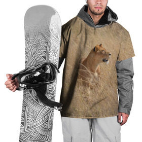 Накидка на куртку 3D с принтом Львица в траве в Курске, 100% полиэстер |  | амурский | животные | киса | кот | котенок | кошка | лев | львица | пума | рысь | серый | тигр | хищник