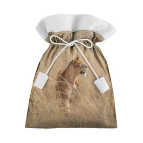 Подарочный 3D мешок с принтом Львица в траве в Курске, 100% полиэстер | Размер: 29*39 см | Тематика изображения на принте: амурский | животные | киса | кот | котенок | кошка | лев | львица | пума | рысь | серый | тигр | хищник