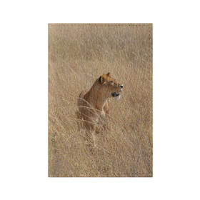 Обложка для паспорта матовая кожа с принтом Львица в траве в Курске, натуральная матовая кожа | размер 19,3 х 13,7 см; прозрачные пластиковые крепления | Тематика изображения на принте: амурский | животные | киса | кот | котенок | кошка | лев | львица | пума | рысь | серый | тигр | хищник