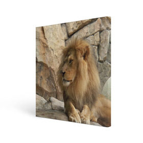 Холст квадратный с принтом Лев в Курске, 100% ПВХ |  | амурский | животные | киса | кот | котенок | кошка | лев | львица | пума | рысь | серый | тигр | хищник