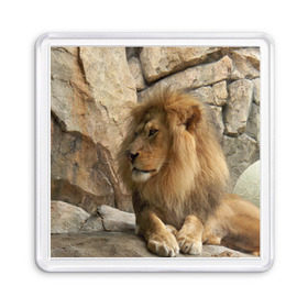 Магнит 55*55 с принтом Лев в Курске, Пластик | Размер: 65*65 мм; Размер печати: 55*55 мм | амурский | животные | киса | кот | котенок | кошка | лев | львица | пума | рысь | серый | тигр | хищник