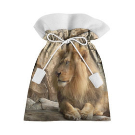 Подарочный 3D мешок с принтом Лев в Курске, 100% полиэстер | Размер: 29*39 см | Тематика изображения на принте: амурский | животные | киса | кот | котенок | кошка | лев | львица | пума | рысь | серый | тигр | хищник