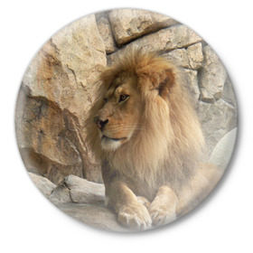 Значок с принтом Лев в Курске,  металл | круглая форма, металлическая застежка в виде булавки | Тематика изображения на принте: амурский | животные | киса | кот | котенок | кошка | лев | львица | пума | рысь | серый | тигр | хищник