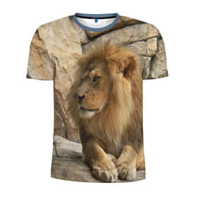 Мужская футболка 3D спортивная с принтом Лев в Курске, 100% полиэстер с улучшенными характеристиками | приталенный силуэт, круглая горловина, широкие плечи, сужается к линии бедра | амурский | животные | киса | кот | котенок | кошка | лев | львица | пума | рысь | серый | тигр | хищник