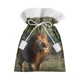 Подарочный 3D мешок с принтом Лев в Курске, 100% полиэстер | Размер: 29*39 см | Тематика изображения на принте: амурский | животные | киса | кот | котенок | кошка | лев | львица | пума | рысь | серый | тигр | хищник