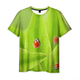 Мужская футболка 3D с принтом Жучки на травке в Курске, 100% полиэфир | прямой крой, круглый вырез горловины, длина до линии бедер | жук | зеленый | зелень | красный | насекомые | природа