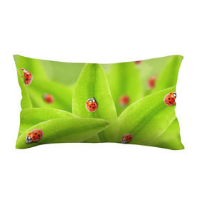 Подушка 3D антистресс с принтом Жучки на травке в Курске, наволочка — 100% полиэстер, наполнитель — вспененный полистирол | состоит из подушки и наволочки на молнии | жук | зеленый | зелень | красный | насекомые | природа