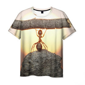 Мужская футболка 3D с принтом Муравей в Курске, 100% полиэфир | прямой крой, круглый вырез горловины, длина до линии бедер | ветка | жук | закат | камень | муравей | насекомые | природа