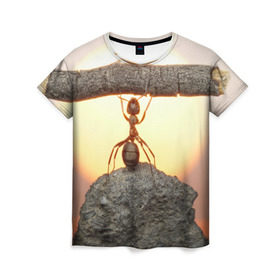 Женская футболка 3D с принтом Муравей в Курске, 100% полиэфир ( синтетическое хлопкоподобное полотно) | прямой крой, круглый вырез горловины, длина до линии бедер | Тематика изображения на принте: ветка | жук | закат | камень | муравей | насекомые | природа