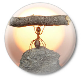 Значок с принтом Муравей в Курске,  металл | круглая форма, металлическая застежка в виде булавки | ветка | жук | закат | камень | муравей | насекомые | природа