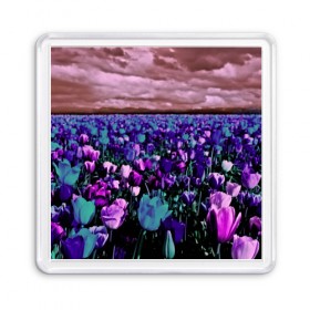 Магнит 55*55 с принтом Поле тюльпанов в Курске, Пластик | Размер: 65*65 мм; Размер печати: 55*55 мм | flower | весна | поле | полевой цветок | природа | цветочки | цветы