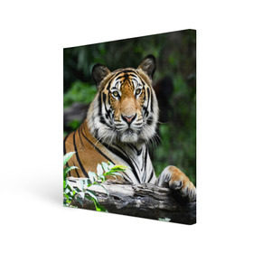 Холст квадратный с принтом Тигр в джунглях в Курске, 100% ПВХ |  | амурский | животные | зверь | киса | кот | котенок | кошка | тигр | хищник