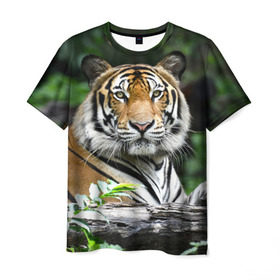 Мужская футболка 3D с принтом Тигр в джунглях в Курске, 100% полиэфир | прямой крой, круглый вырез горловины, длина до линии бедер | Тематика изображения на принте: амурский | животные | зверь | киса | кот | котенок | кошка | тигр | хищник
