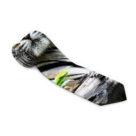 Галстук 3D с принтом Тигр в джунглях в Курске, 100% полиэстер | Длина 148 см; Плотность 150-180 г/м2 | Тематика изображения на принте: амурский | животные | зверь | киса | кот | котенок | кошка | тигр | хищник