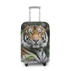 Чехол для чемодана 3D с принтом Тигр в джунглях в Курске, 86% полиэфир, 14% спандекс | двустороннее нанесение принта, прорези для ручек и колес | амурский | животные | зверь | киса | кот | котенок | кошка | тигр | хищник