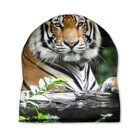 Шапка 3D с принтом Тигр в джунглях в Курске, 100% полиэстер | универсальный размер, печать по всей поверхности изделия | амурский | животные | зверь | киса | кот | котенок | кошка | тигр | хищник
