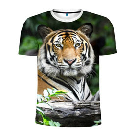 Мужская футболка 3D спортивная с принтом Тигр в джунглях в Курске, 100% полиэстер с улучшенными характеристиками | приталенный силуэт, круглая горловина, широкие плечи, сужается к линии бедра | амурский | животные | зверь | киса | кот | котенок | кошка | тигр | хищник