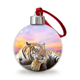 Ёлочный шар с принтом Тигр в Курске, Пластик | Диаметр: 77 мм | Тематика изображения на принте: амурский | животные | зверь | киса | кот | котенок | кошка | тигр | хищник