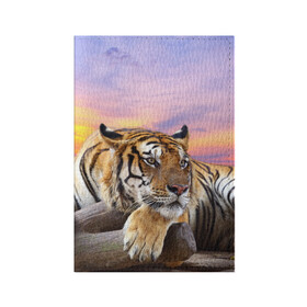 Обложка для паспорта матовая кожа с принтом Тигр в Курске, натуральная матовая кожа | размер 19,3 х 13,7 см; прозрачные пластиковые крепления | амурский | животные | зверь | киса | кот | котенок | кошка | тигр | хищник