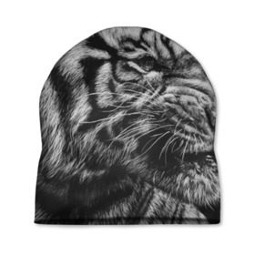 Шапка 3D с принтом Тигр в Курске, 100% полиэстер | универсальный размер, печать по всей поверхности изделия | амурский | животные | зверь | киса | кот | котенок | кошка | серый | тигр | тигренок | хищник