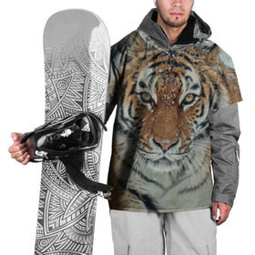 Накидка на куртку 3D с принтом Тигр в Курске, 100% полиэстер |  | амурский | животные | зверь | киса | кот | котенок | кошка | тигр | хищник