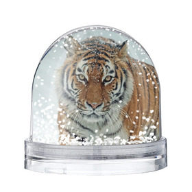 Снежный шар с принтом Тигр в Курске, Пластик | Изображение внутри шара печатается на глянцевой фотобумаге с двух сторон | амурский | животные | зверь | киса | кот | котенок | кошка | тигр | хищник