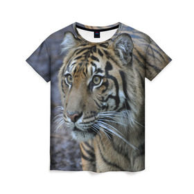 Женская футболка 3D с принтом Тигр в Курске, 100% полиэфир ( синтетическое хлопкоподобное полотно) | прямой крой, круглый вырез горловины, длина до линии бедер | Тематика изображения на принте: амурский | животные | зверь | киса | кот | котенок | кошка | тигр | хищник