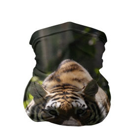 Бандана-труба 3D с принтом Тигр в Курске, 100% полиэстер, ткань с особыми свойствами — Activecool | плотность 150‒180 г/м2; хорошо тянется, но сохраняет форму | амурский | животные | зверь | киса | кот | котенок | кошка | тигр | хищник