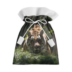 Подарочный 3D мешок с принтом Тигр в Курске, 100% полиэстер | Размер: 29*39 см | амурский | животные | зверь | киса | кот | котенок | кошка | тигр | хищник
